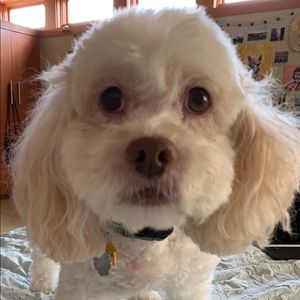 Meet your Posher, Gitika